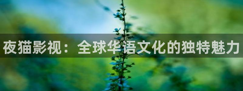 日韩视频蜜桃