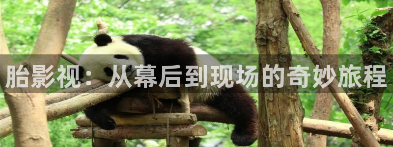 水蜜桃传媒电影