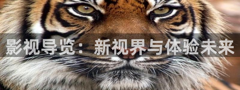 成熟蜜桃电影