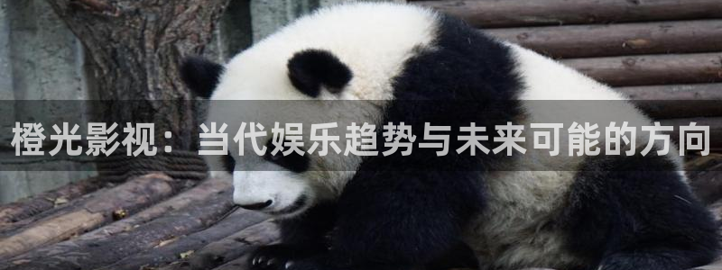 蜜桃电视剧全集在线观看