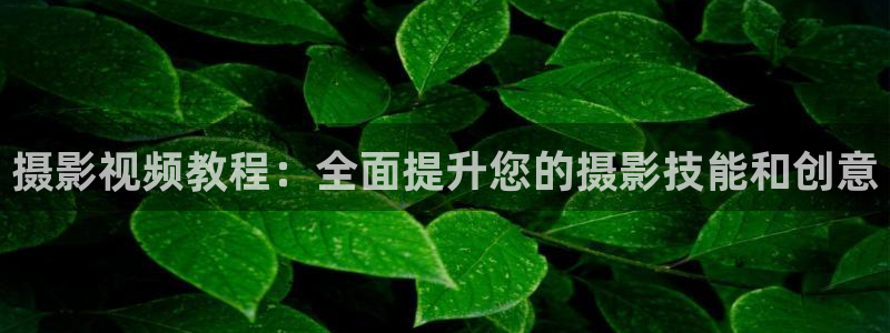 蜜桃的成熟电影