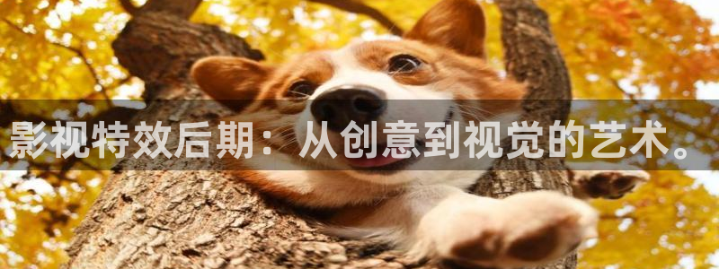 水蜜桃看片